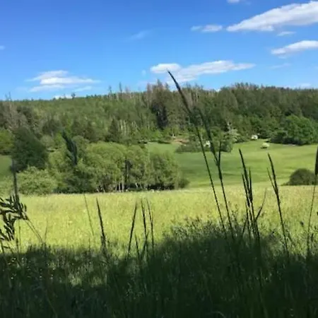 Bosnest Nr 176 Frankenau