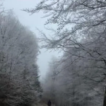 Bosnest Nr 176 * Frankenau