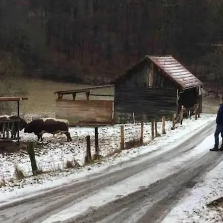 Bosnest Nr 176 Holiday home *