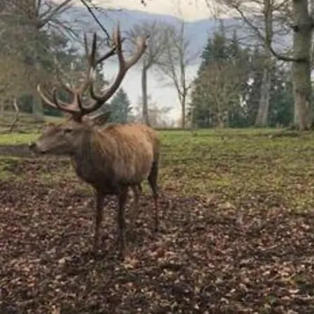 Bosnest Nr 176 Holiday home