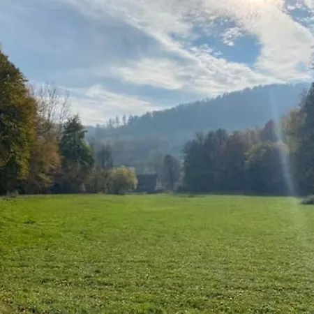 Bosnest Nr 176 Frankenau