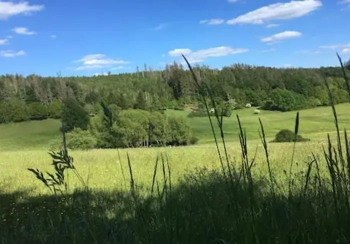 Bosnest Nr 176 Frankenau