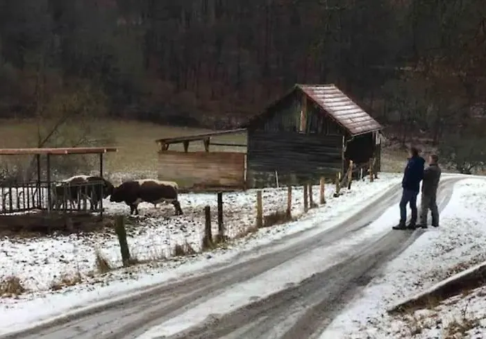 Bosnest Nr 176 Holiday home *