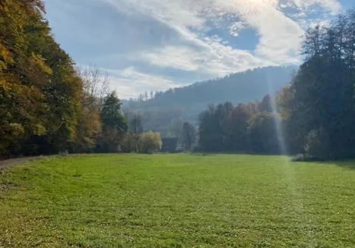 Bosnest Nr 176 Frankenau